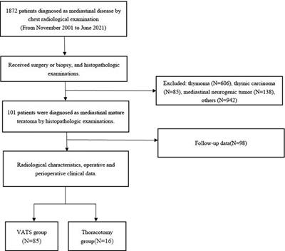 Surgical management of primary mediastinal mature teratoma: A single-center 20 years’ experience